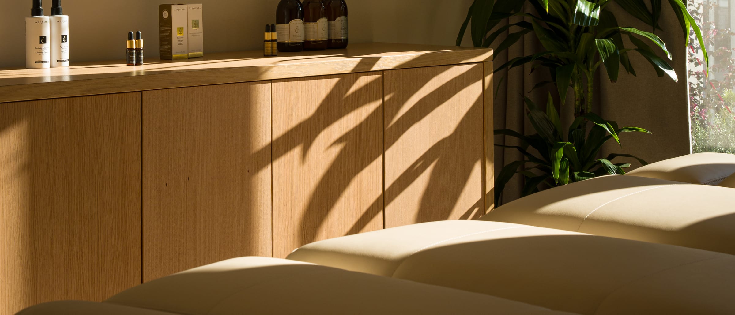 Afternoon light across the treatment room